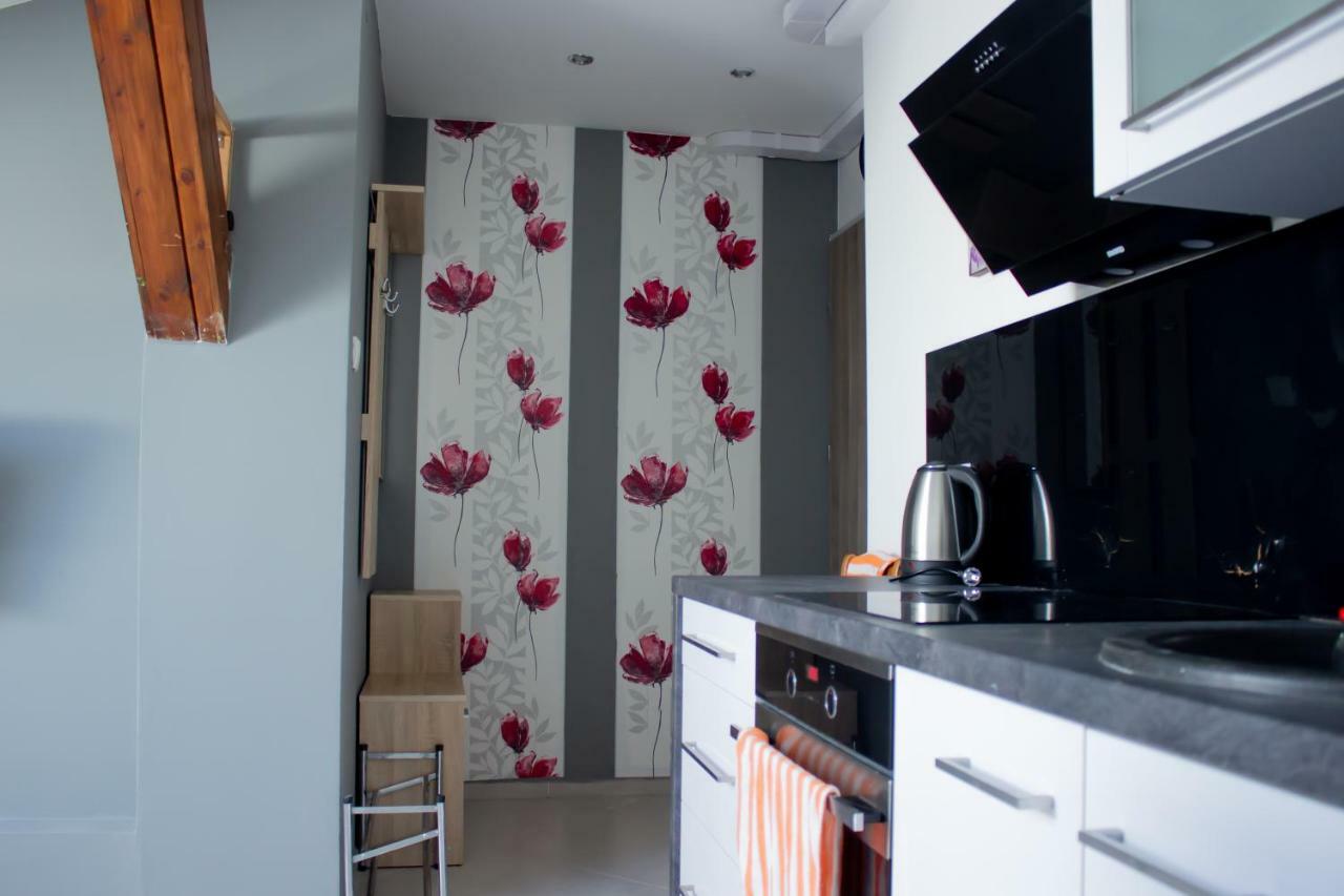Apartament Stawowa تشيشين المظهر الخارجي الصورة